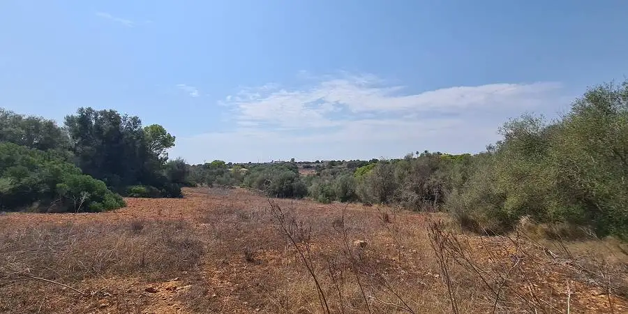 Plot near the marina of Cala D'or to build a villa with pool 