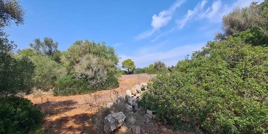 Plot near the marina of Cala D'or to build a villa with pool 