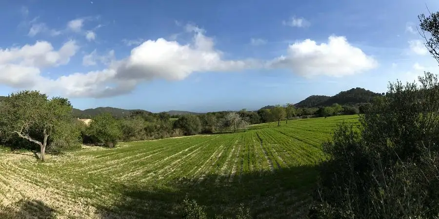 Dreamy hilly plot With building permit, seaview, SoutEast Mallorca 