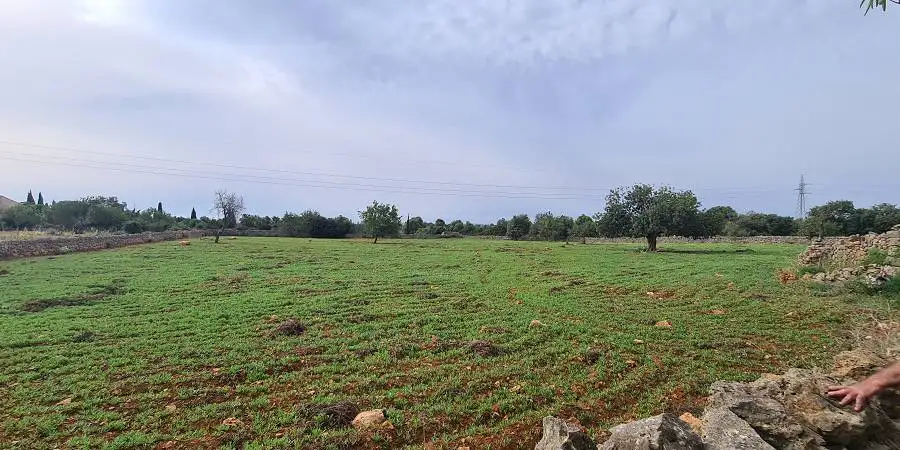 Alquería blanca plot of land of 14332m2 for sale   