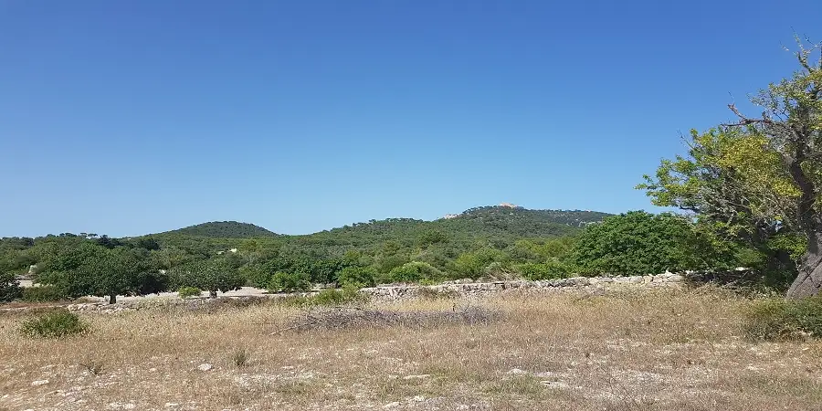 Beautiful plot in the hills of Santueri castel with views of Sant Salvador and approved project, for sale 