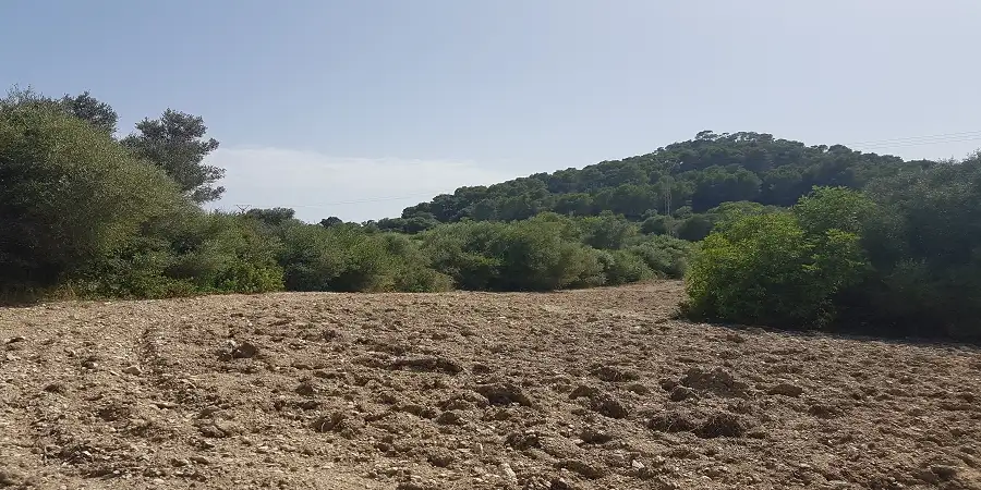 Beautiful plot in the hills of Santueri castel with views of Sant Salvador and approved project, for sale  